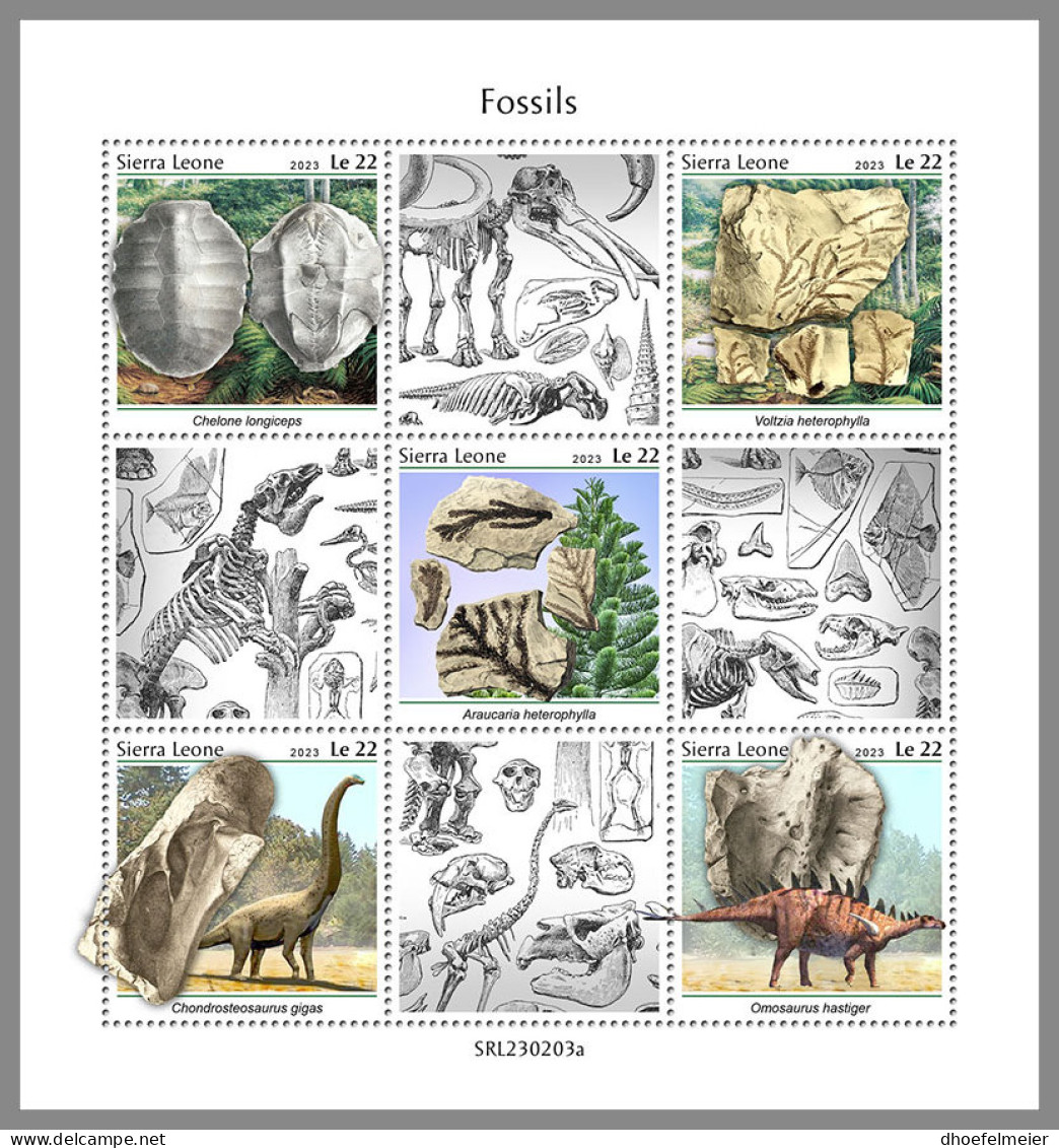 SIERRA LEONE 2023 MNH Fossils Fossilien Fossiles M/S - OFFICIAL ISSUE - DHQ2334 - Fossielen