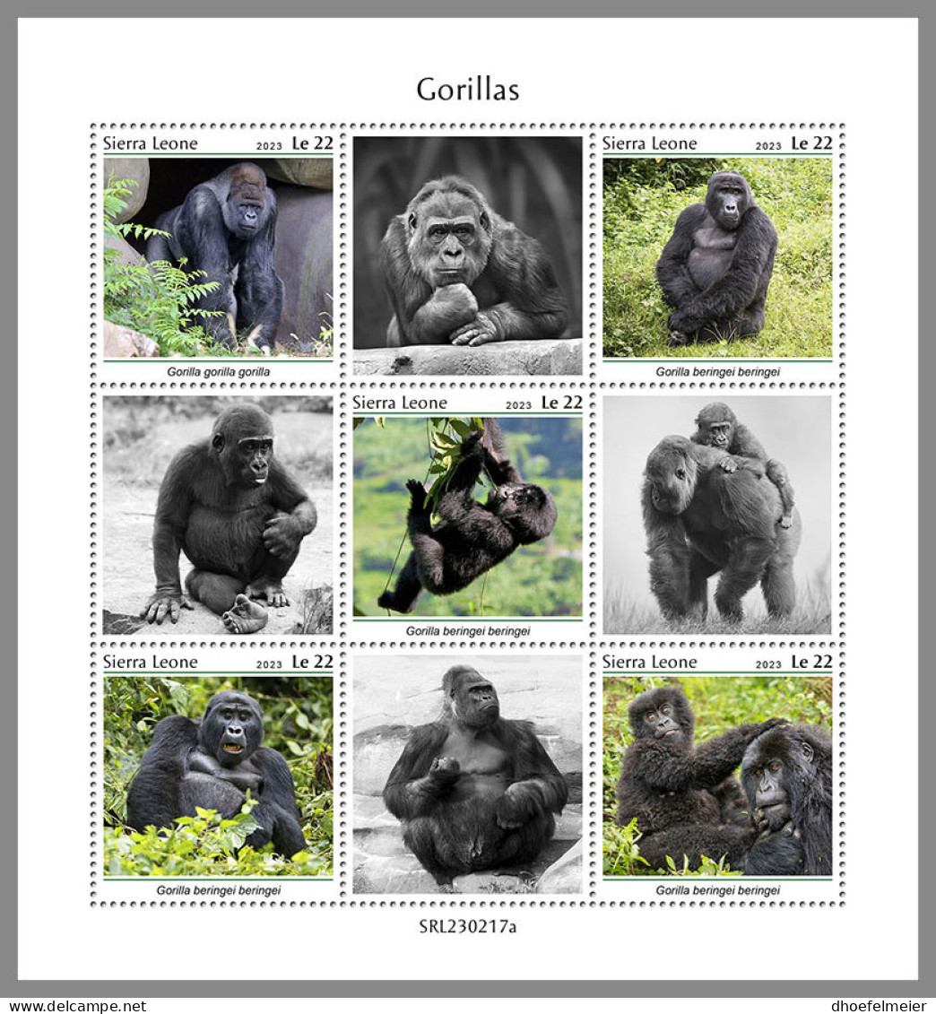 SIERRA LEONE 2023 MNH Gorillas Gorilles M/S - IMPERFORATED - DHQ2334 - Gorilles