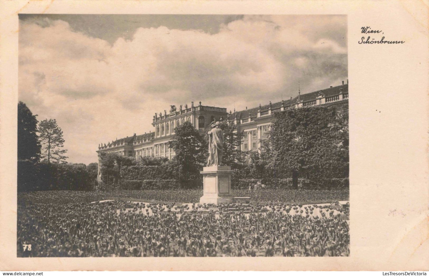 AUTRICHE - Wien - Schönbrunn -  Carte Postale Ancienne - Château De Schönbrunn