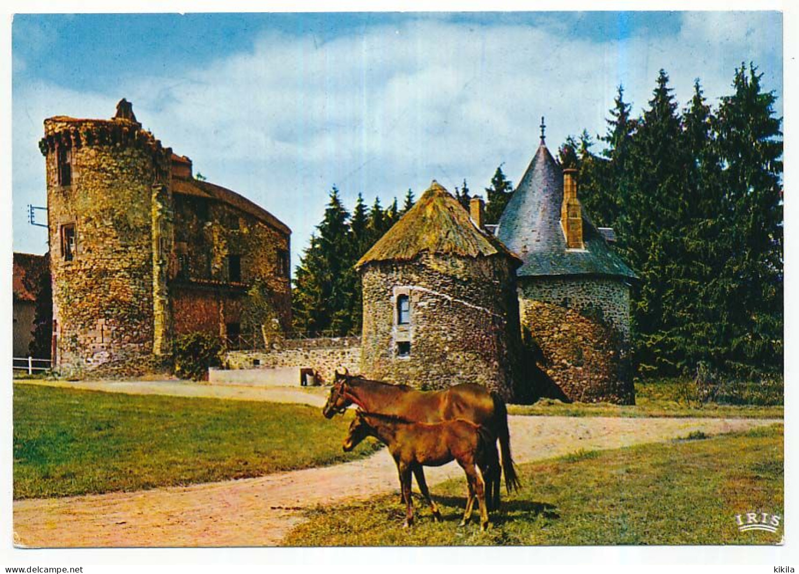 CPSM  / CPM 10.5 X 15  Corrèze Environs De POMPADOUR  Domaine De La Rivière  Tour Médiévale  Chevaux - Arnac Pompadour