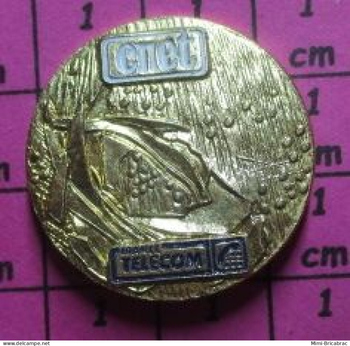 1518A Pin's Pins / Beau Et Rare / FRANCE TELECOM / CNET CENTRE NATIONAL DES ETUDES EN TELECOMMUNICATIONS - France Telecom