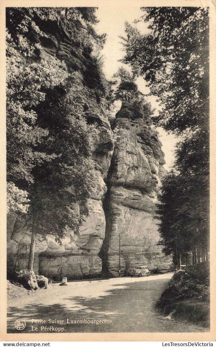 LUXEMBOURG - Echternach - Petite Suisse Luxembourgeoise - Le Pérekop - Carte Postale Ancienne - Echternach