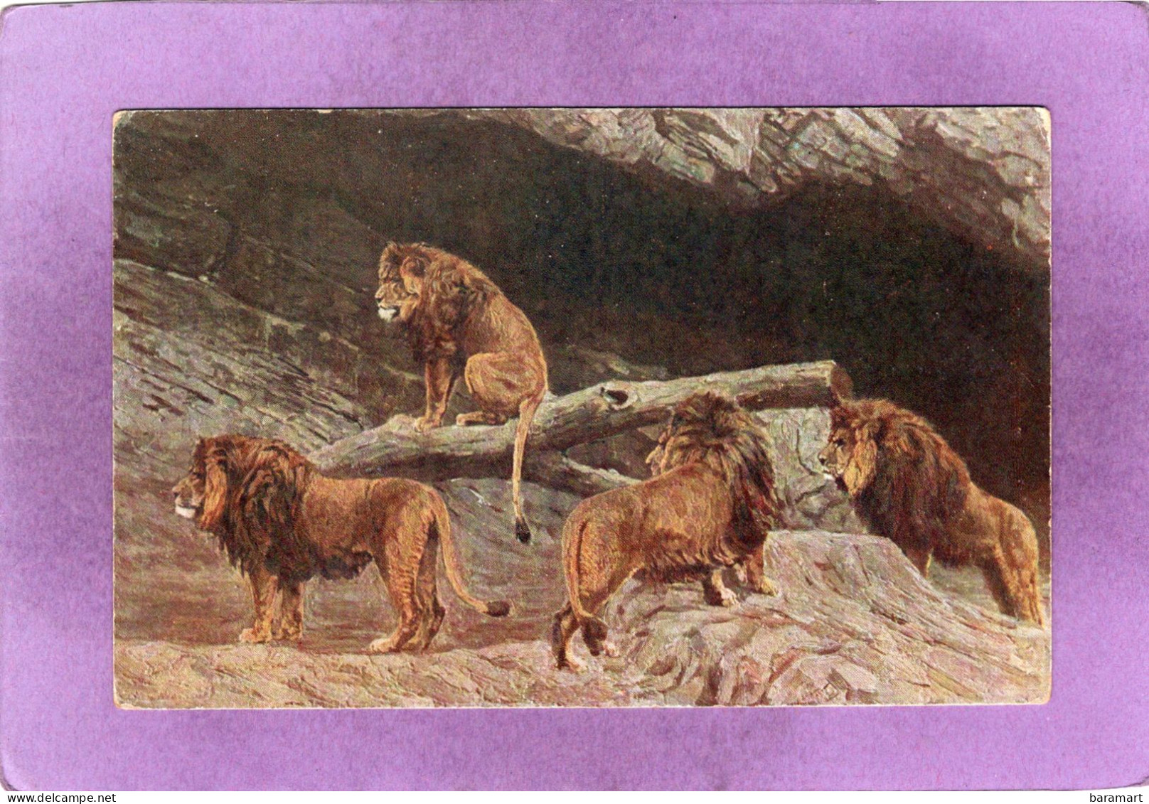 STELLINGEN Carl Hagenbeck's Tierpark Offne Löwenschlucht   Parc Animalier  Canyon Des Lions Zoo - Stellingen