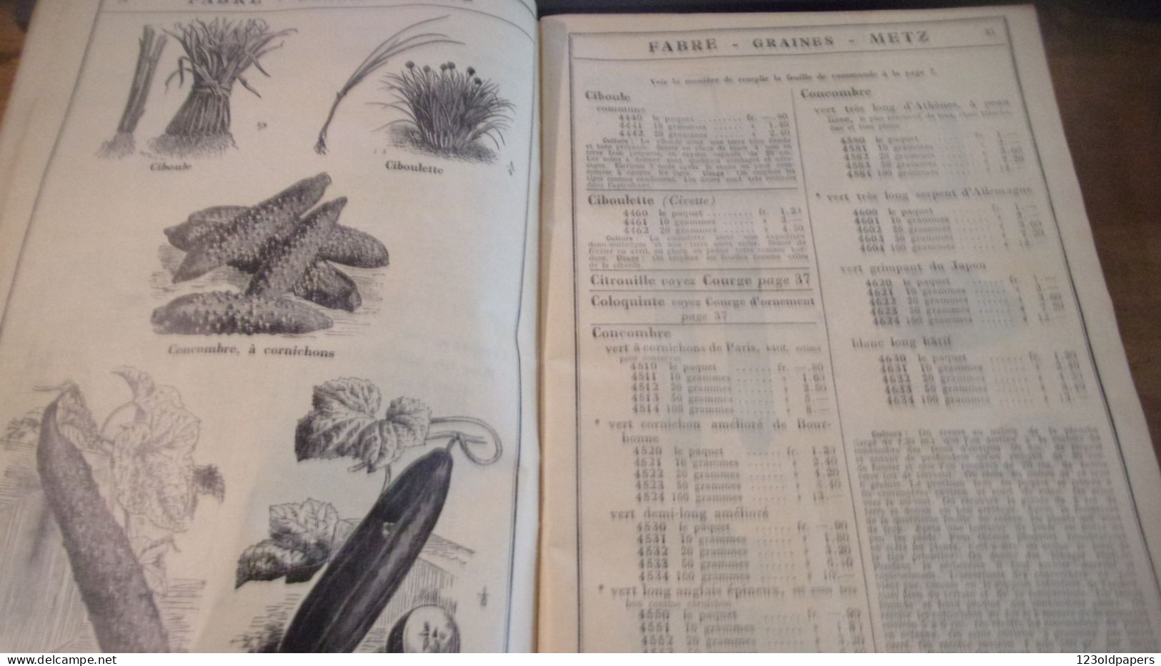 Catalogue Général/ FABRE/ Grainetier/Rue Mazelle/ METZ/ Moselle// 1937 PLANTES RICHEMENT ILLUSTRE  144 PAGES - Jardinería