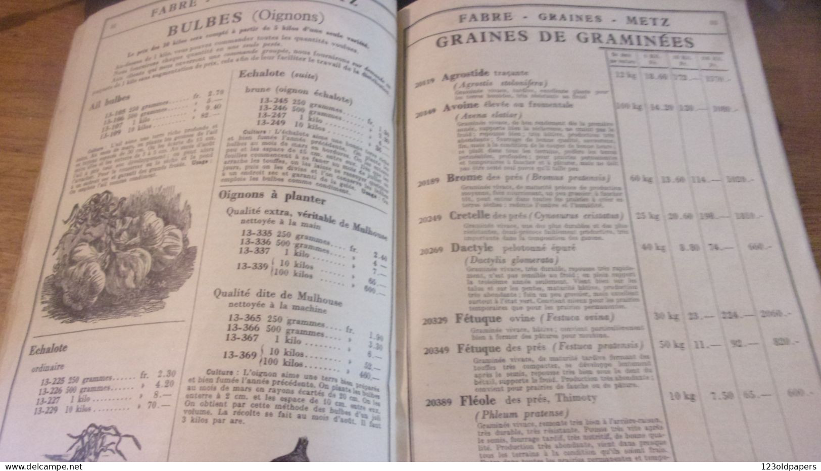 Catalogue Général/ FABRE/ Grainetier/Rue Mazelle/ METZ/ Moselle// 1937 PLANTES RICHEMENT ILLUSTRE  144 PAGES - Tuinieren