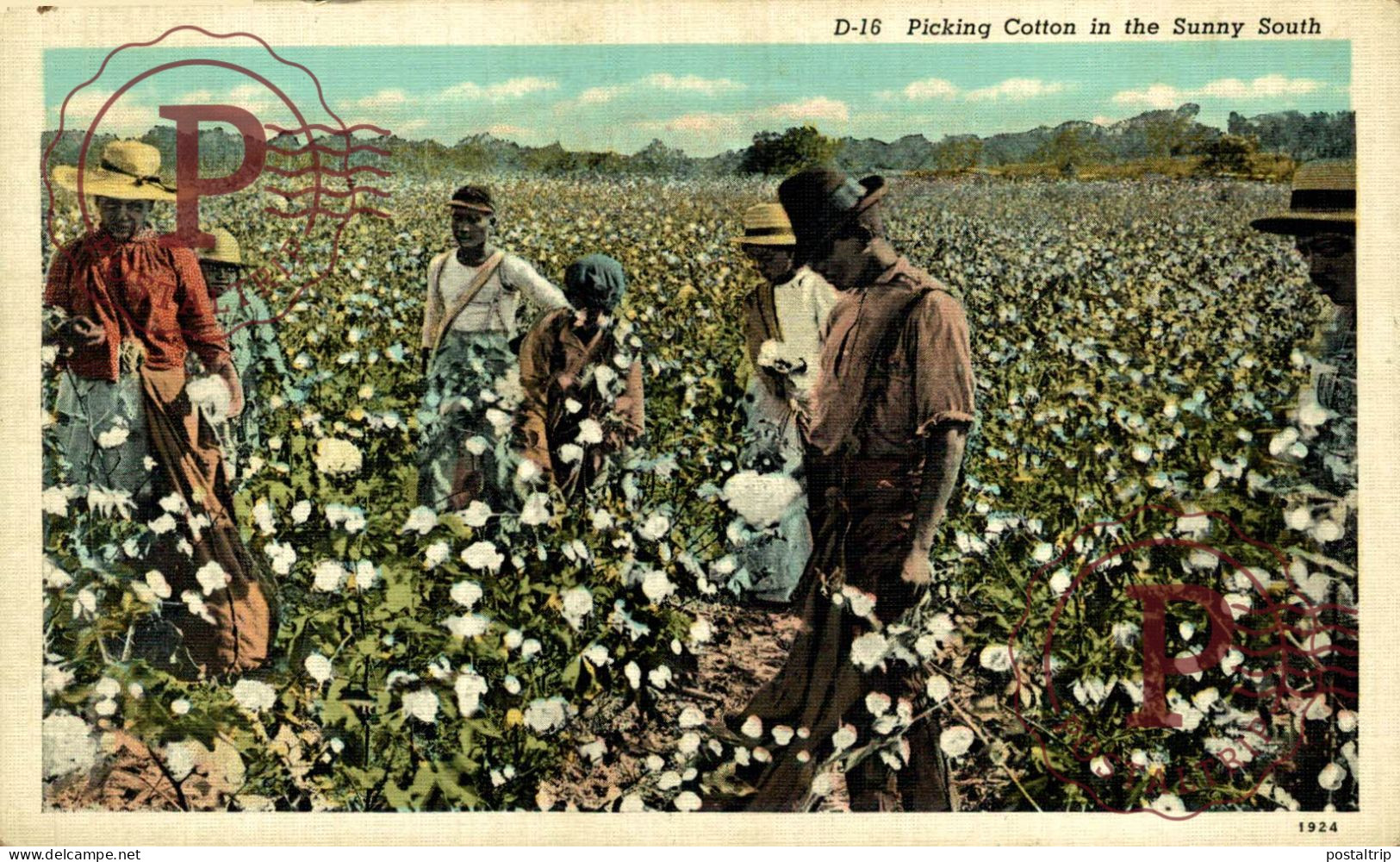 PICKING COTTON IN THE SUNNY SOUTH Black Americana   Afro Americana Coleccionblack - Black Americana