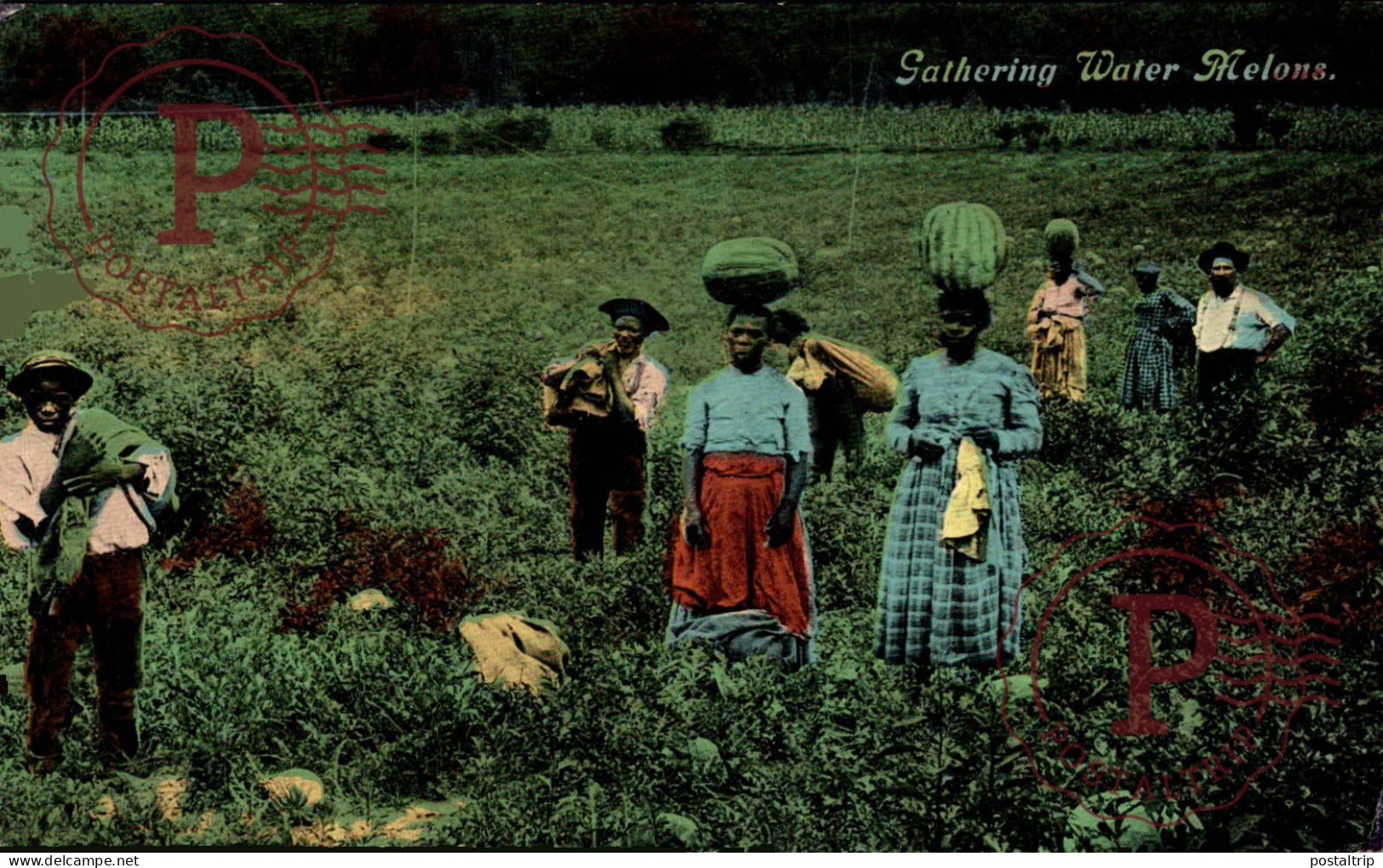 GATHERING WATER MELONS  Black Americana   Afro Americana Coleccionblack - Black Americana