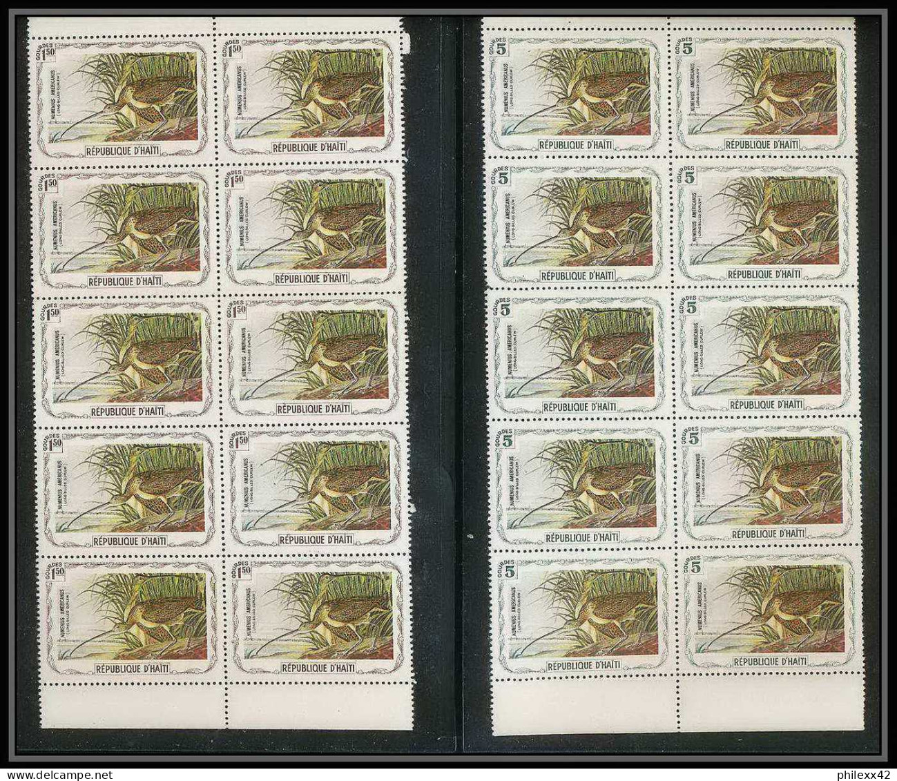 203 Haiti ** MNH - 1337 - serie oiseaux birds of prey local stamp vignette rapaces 41 valeurs rare blocs 10