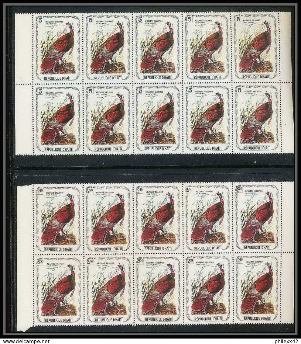 203 Haiti ** MNH - 1337 - serie oiseaux birds of prey local stamp vignette rapaces 41 valeurs rare blocs 10