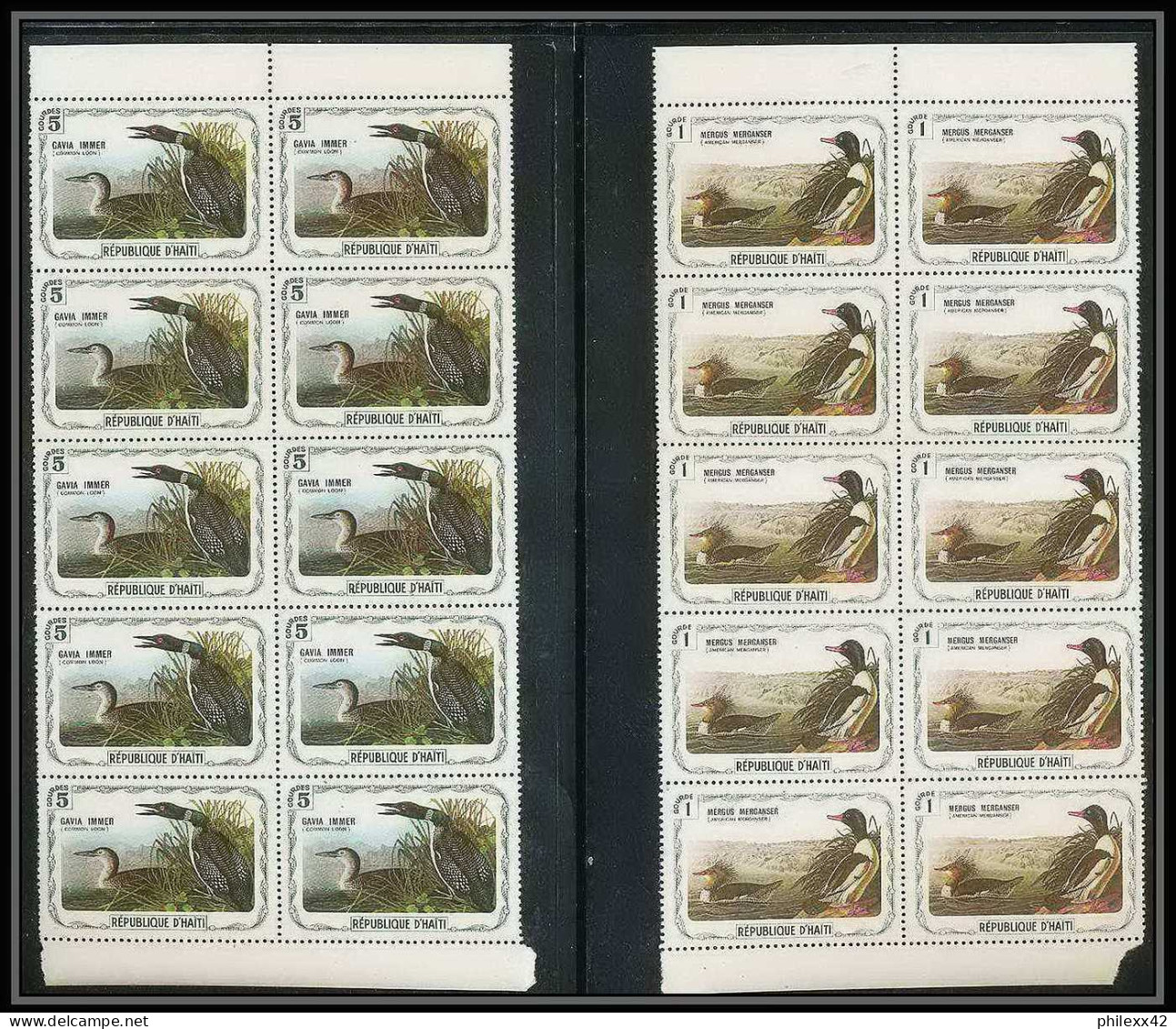 203 Haiti ** MNH - 1337 - serie oiseaux birds of prey local stamp vignette rapaces 41 valeurs rare blocs 10