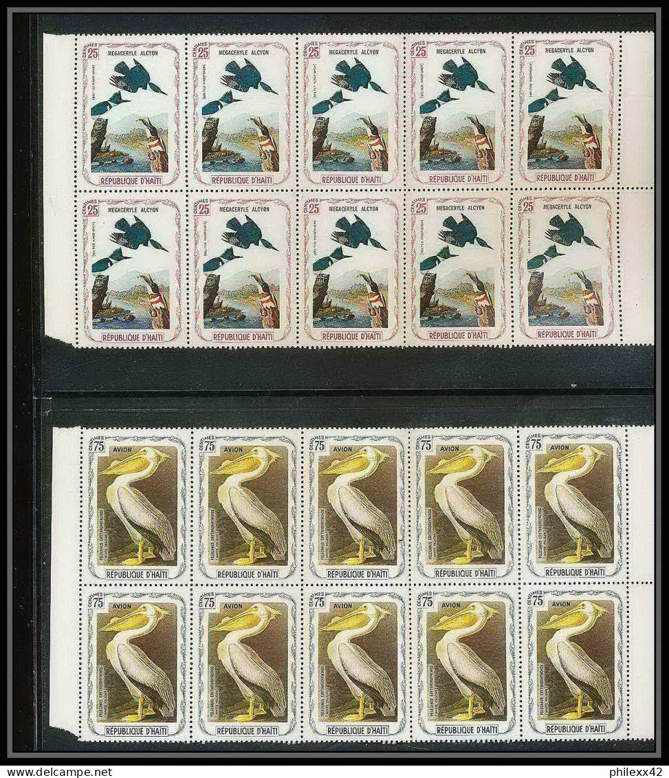 203 Haiti ** MNH - 1337 - serie oiseaux birds of prey local stamp vignette rapaces 41 valeurs rare blocs 10