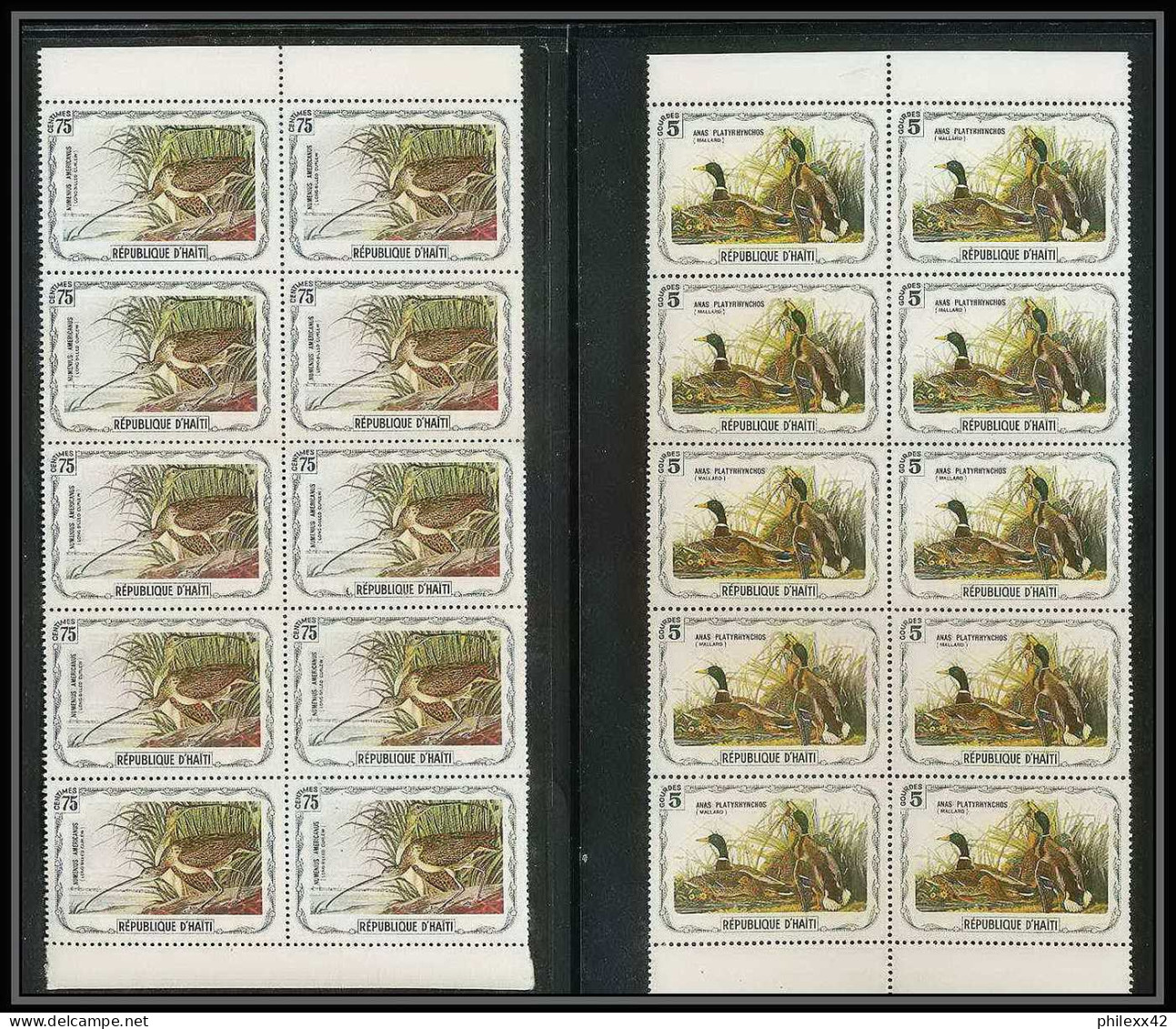 203 Haiti ** MNH - 1337 - serie oiseaux birds of prey local stamp vignette rapaces 41 valeurs rare blocs 10