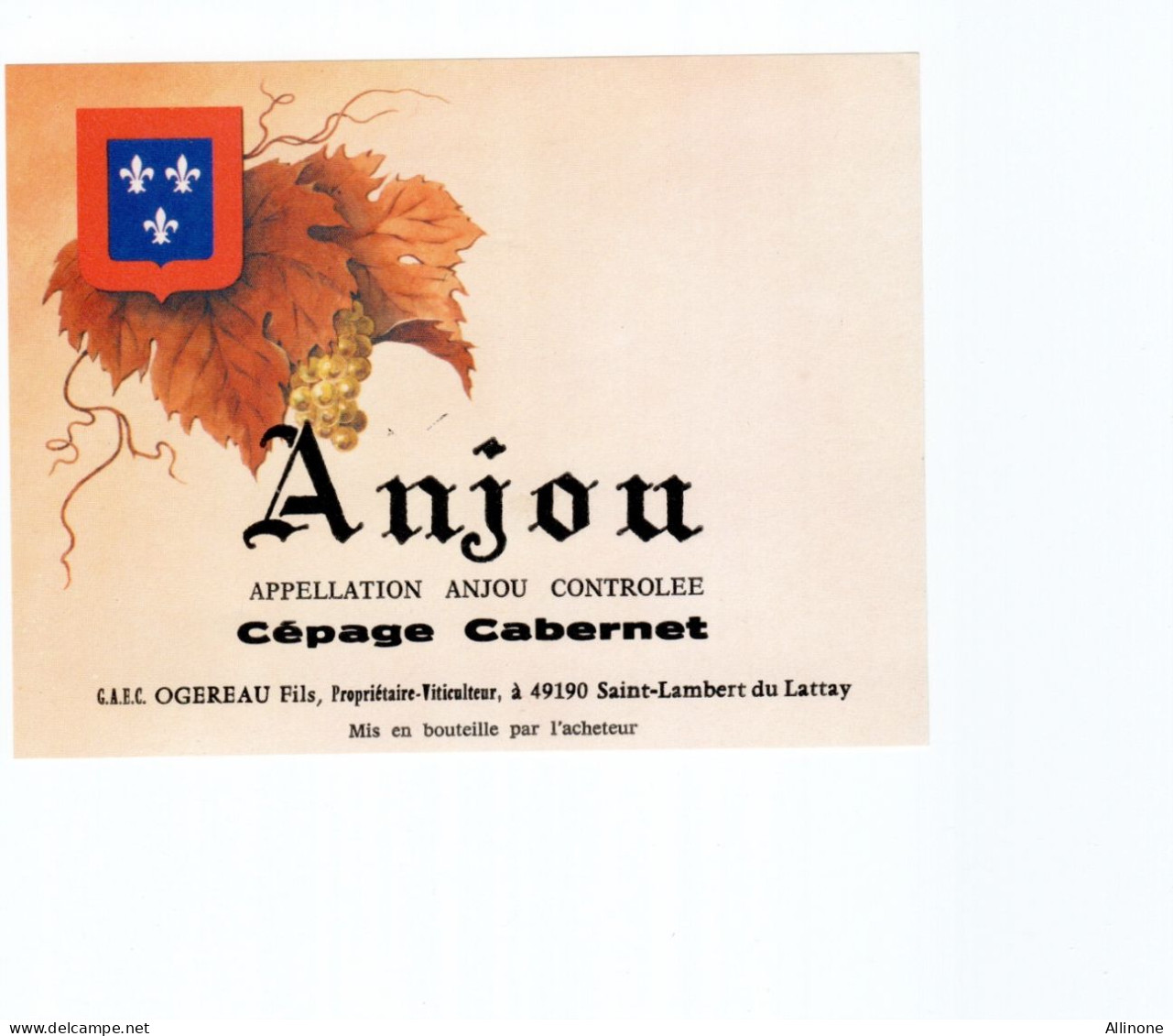 Etiquette De Vin ANJOU Cépage Cabernet TB Neuve - Lots & Sammlungen