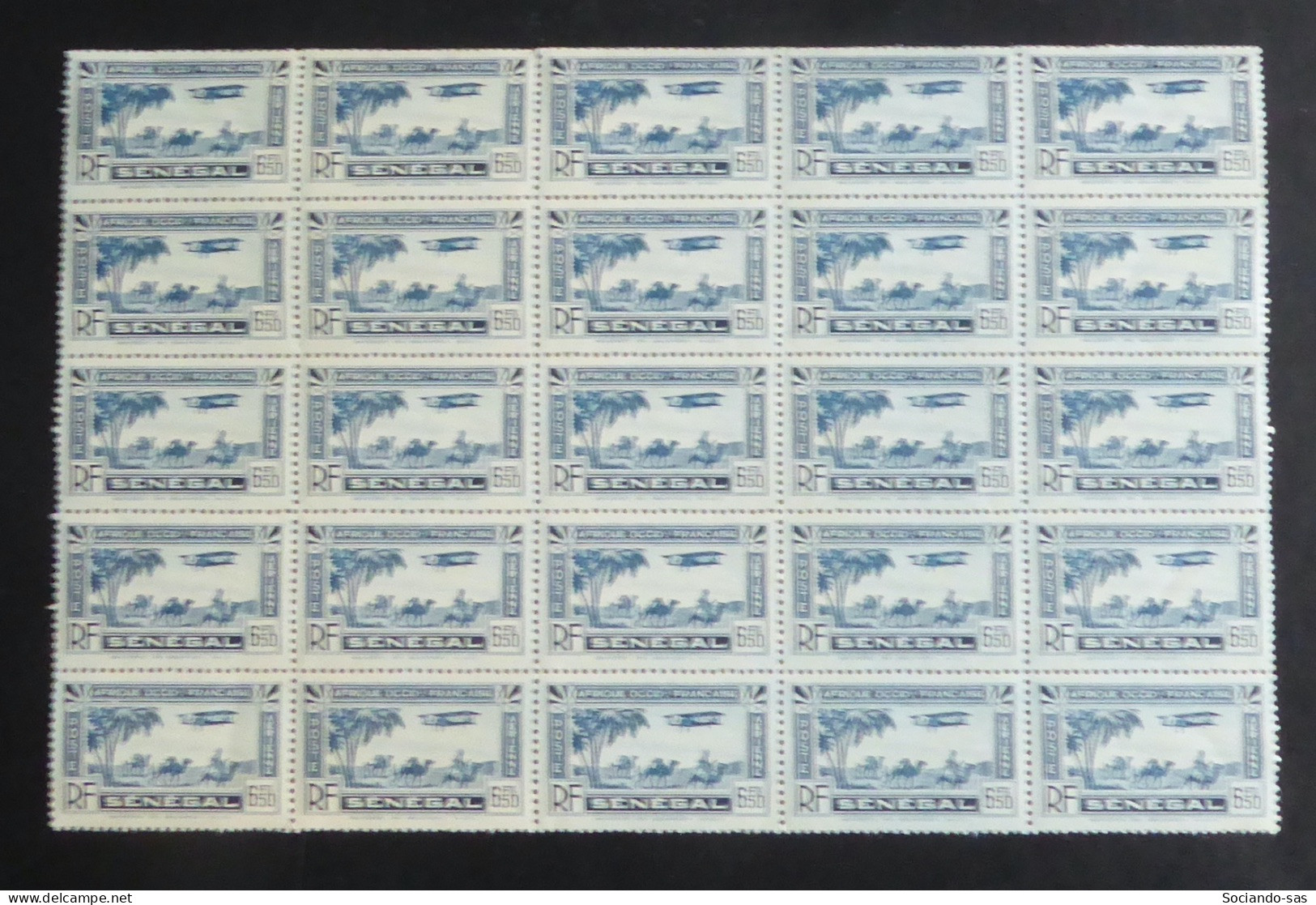 SENEGAL - 1935 - Poste Aérienne PA N°YT. 9 - Avion 6f50 Bleu - Bloc De 25 Bord De Feuille - Neuf Luxe ** / MNH - Luftpost