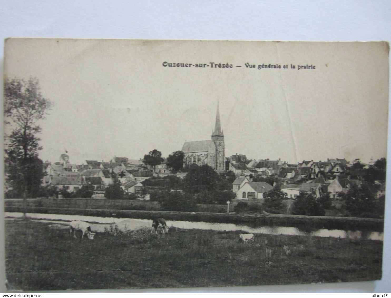 CPA OUZOUER SUR TREZEE VUE GENERALE ET LA PRAIRIE - Ouzouer Sur Loire