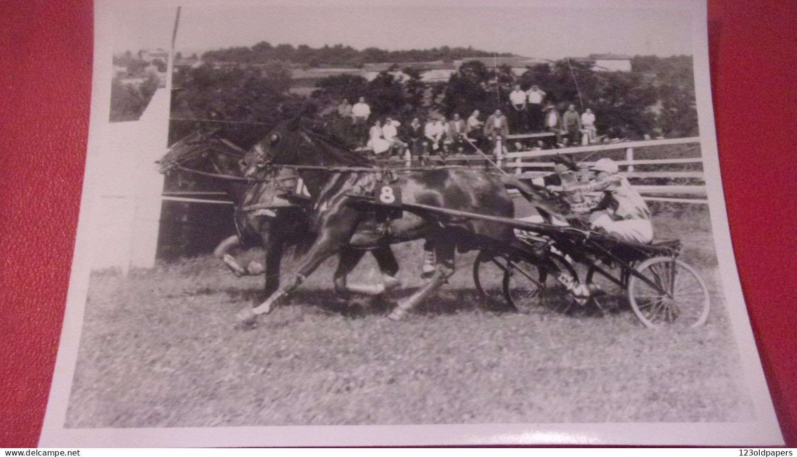 PHOTO HIPPISME CHARBONNIERES ST LUCE 1958 JOKARI REMPORTE  LE PRIX DE MACON  18/13 CM - Sporten