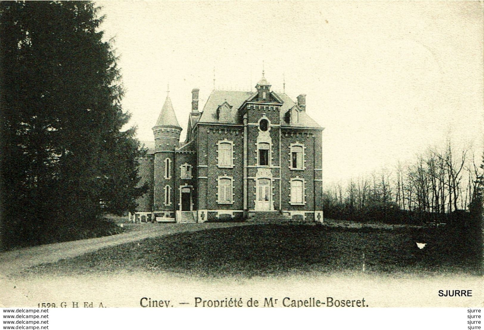 CINEY - Château - Propriété De Mr Capelle-Boseret - Kasteel - Ciney