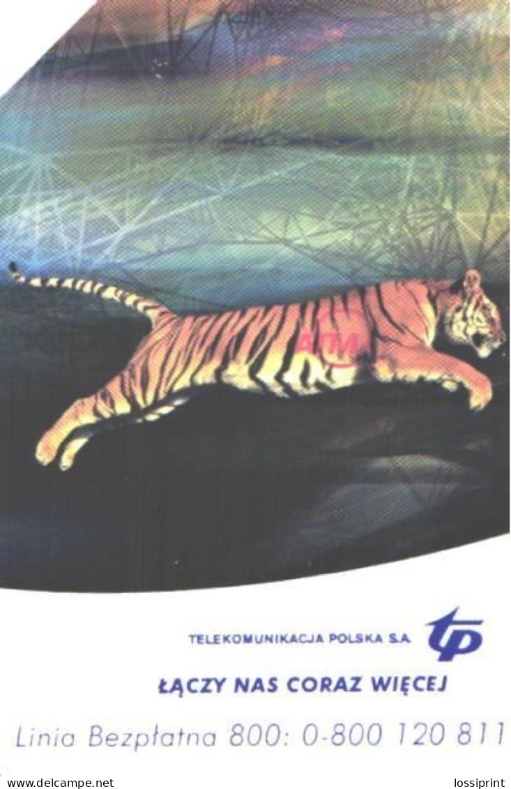 Poland:Used Phonecard, Telekomunikacja Polska S.A., 25 Units, Tiger - Jungle