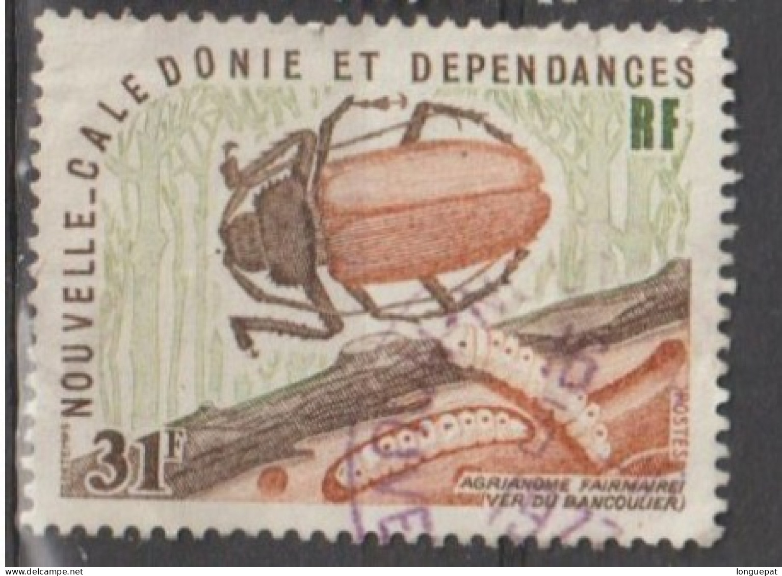 NOUVELLE -CALEDONIE -  Faune - Insecte - Agrianome Faiemairei (Ver De Bancoule) -Coléoptére - Used Stamps