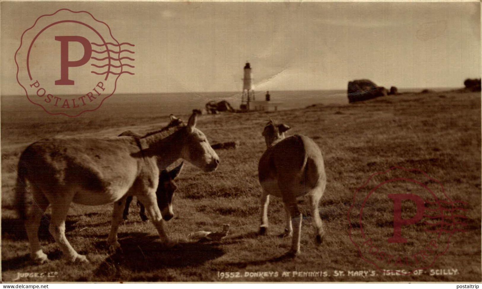 FAROS. PHARE. LIGHTHOUSE. RPPC. DONKEYS AT PENINNIS ST MARY'S. ISLES OF SCILLY - Scilly Isles