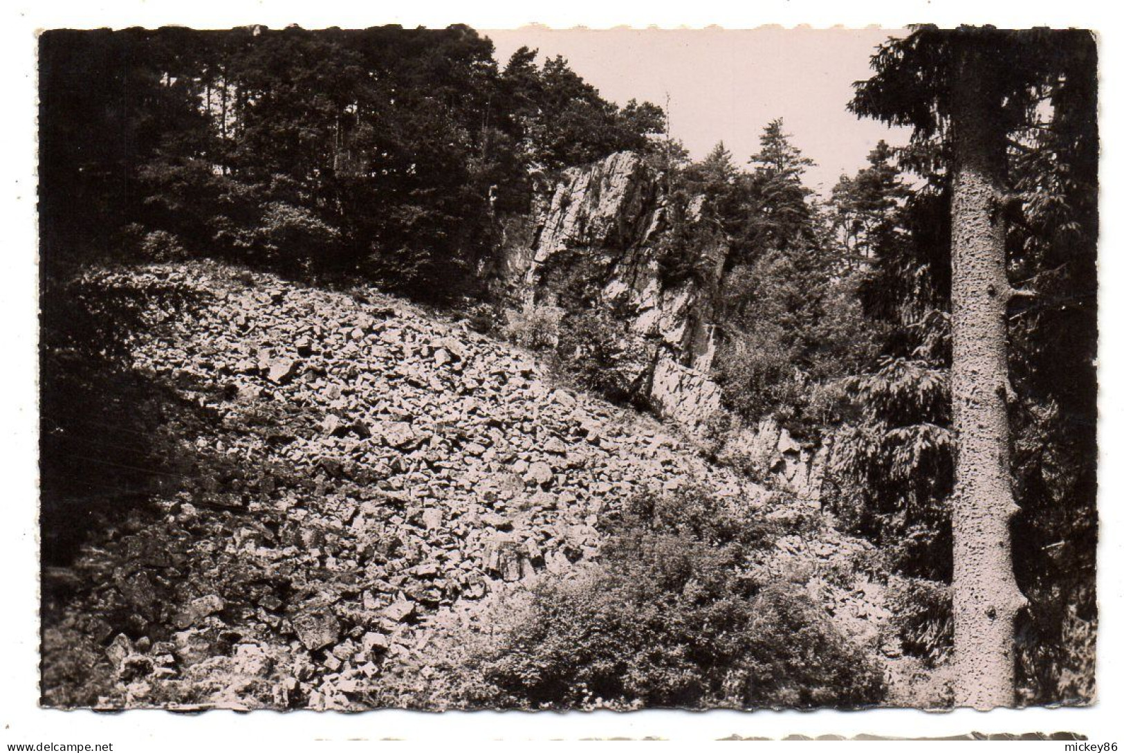 BAGNOLES DE L'ORNE ---Le Roc Au Chien - Bagnoles De L'Orne