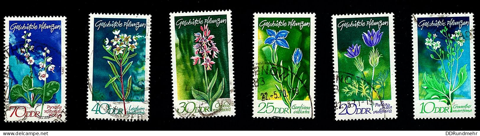 1970 Native Plants  Michel DD 1563 - 1568 Stamp Number DD 1194 - 1199 Yvert Et Tellier DD 1255 - 1300 Used - Gebraucht