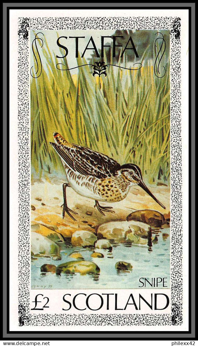 80848 Staffa Scotland Snipe Bécassine  Bécasse ** MNH Oiseaux Birds Bird Non Dentelé Imperf 1979 2£ - Scotland