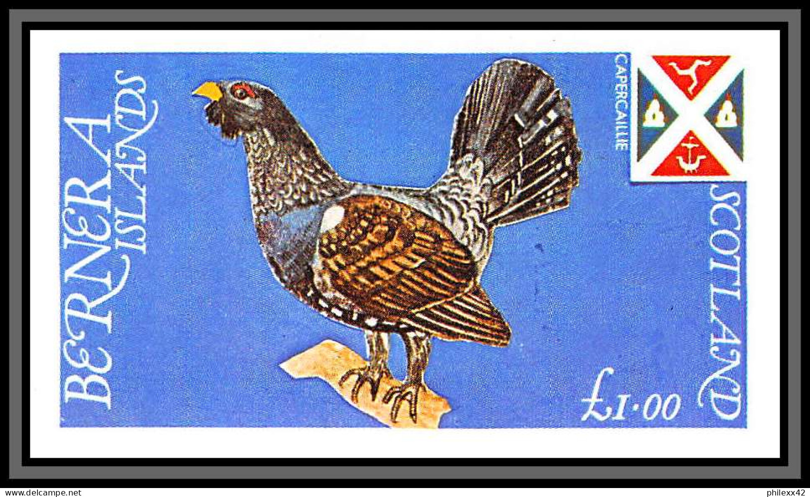 80825 Bernera Islands Scotland TB Neuf ** MNH Oiseaux Birds Bird Capercaillie Grand Tétras Coq De Bruyère Rooster - Scotland