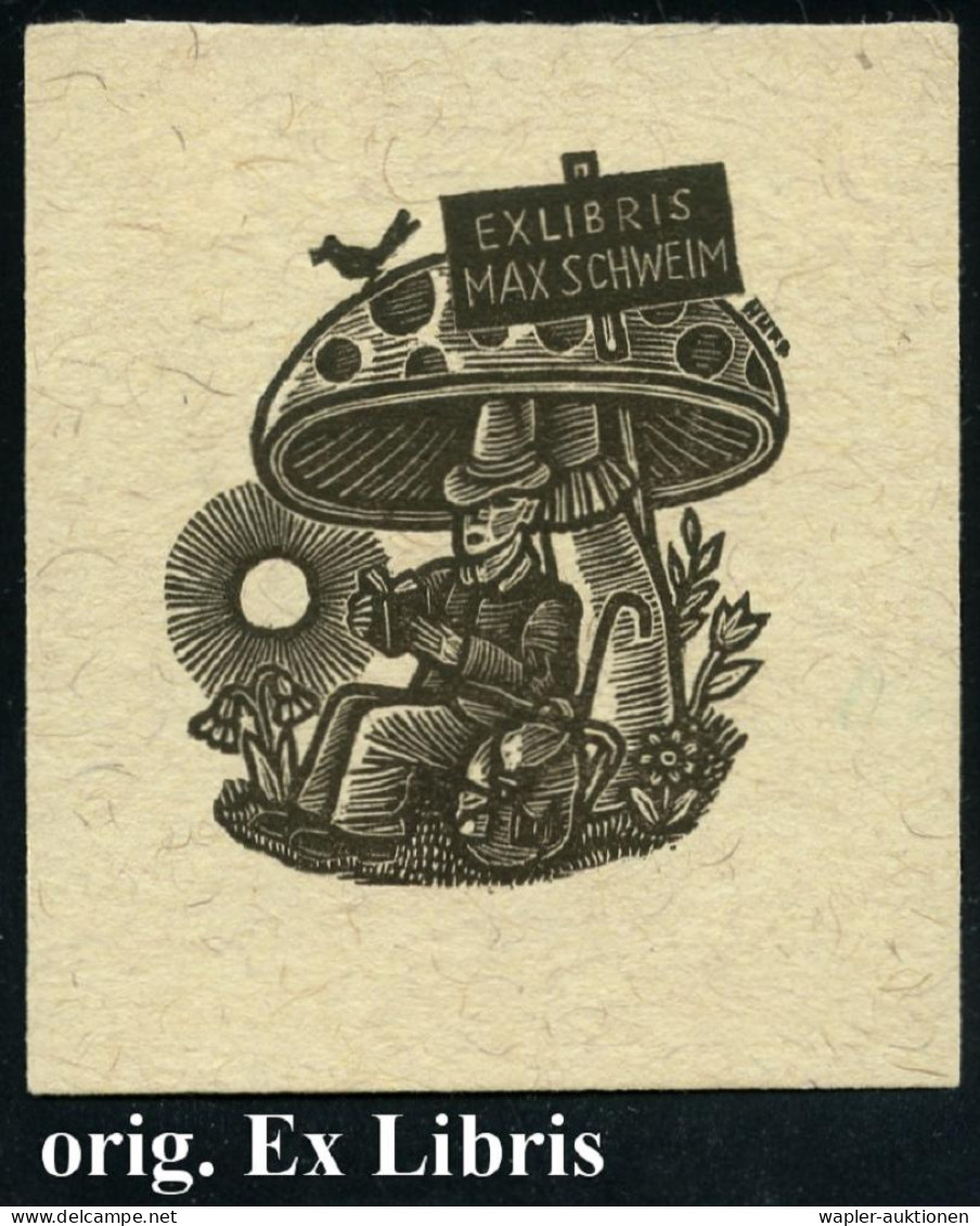 EX LIBRIS - EX LIBRIS - EX LIBRIS - EX LIBRIS - Autres