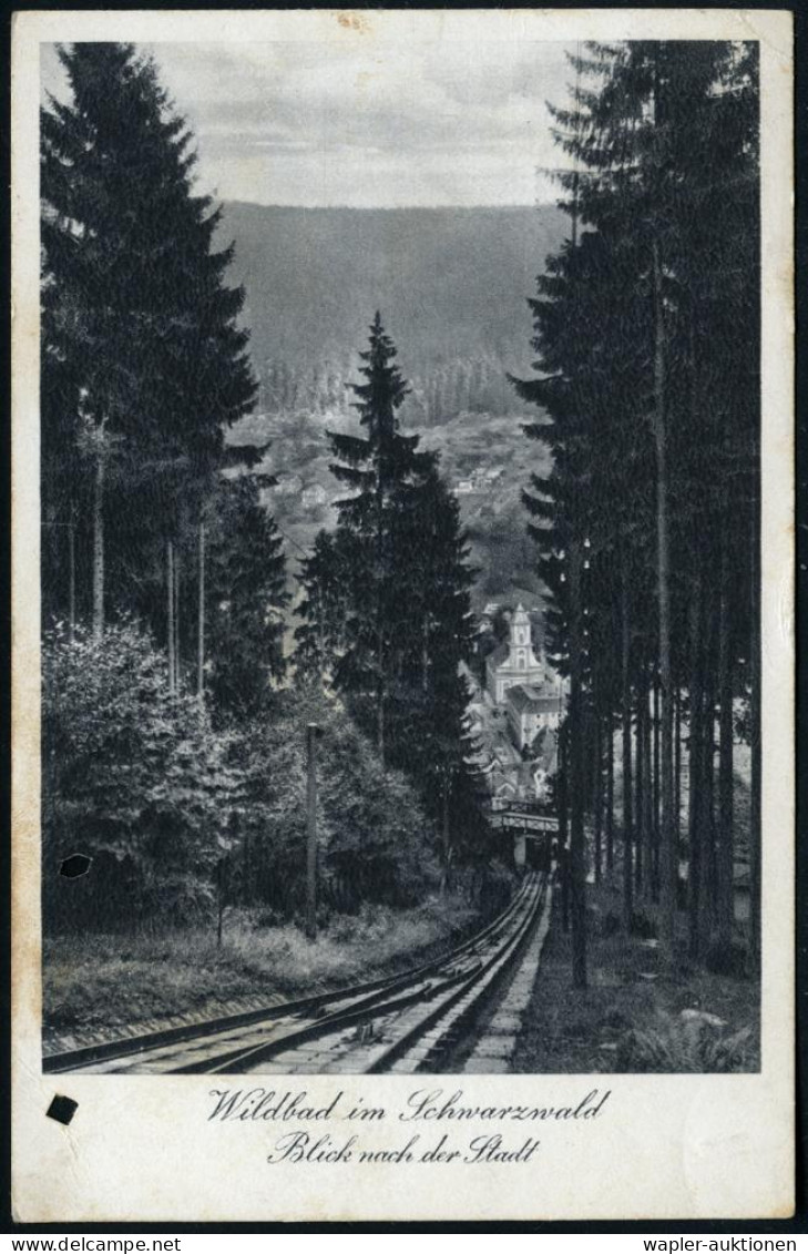 BERG-,ZAHNRAD-,SEIL- & GONDEL-BAHNEN - CABLE & MOUNTAIN RAILS - FUNICULAIRES & CHEMIN DE FER A CREMAILLERE - FERROVIA DI - Eisenbahnen