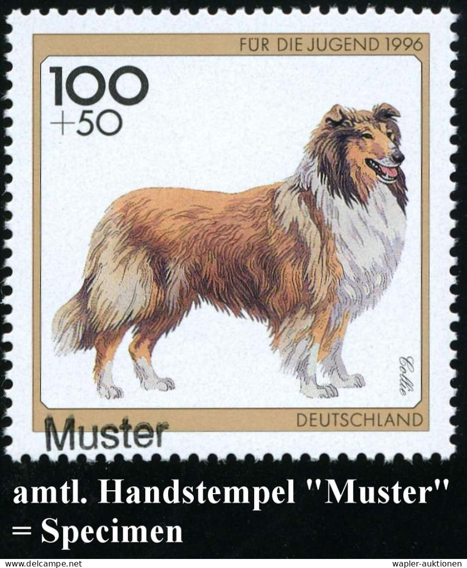 HUND / HUNDERASSEN / WOLF / FUCHS - DOG / DOG SPECIES / WOLF / FOX - CHIEN / RACES CANINES / LOUP / RENARD - CANE / RAZZ - Hunde