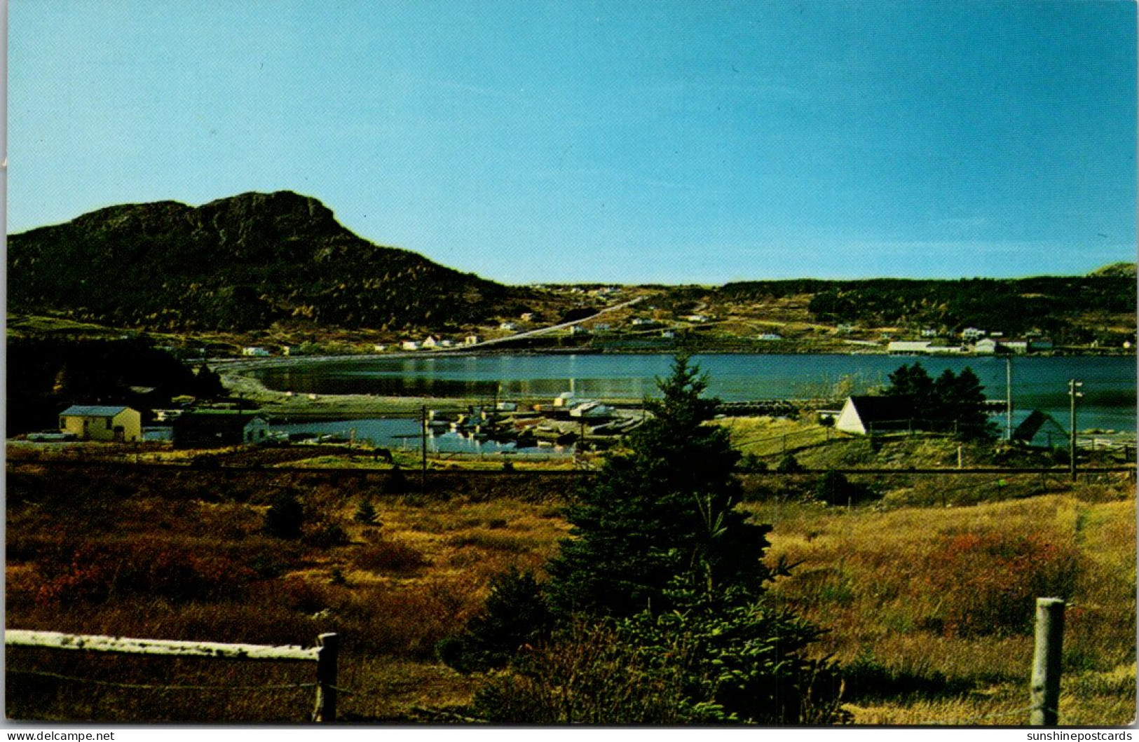 Canada Newfoundland Conception Bay Peninsula Holyrood Harbour - Autres & Non Classés