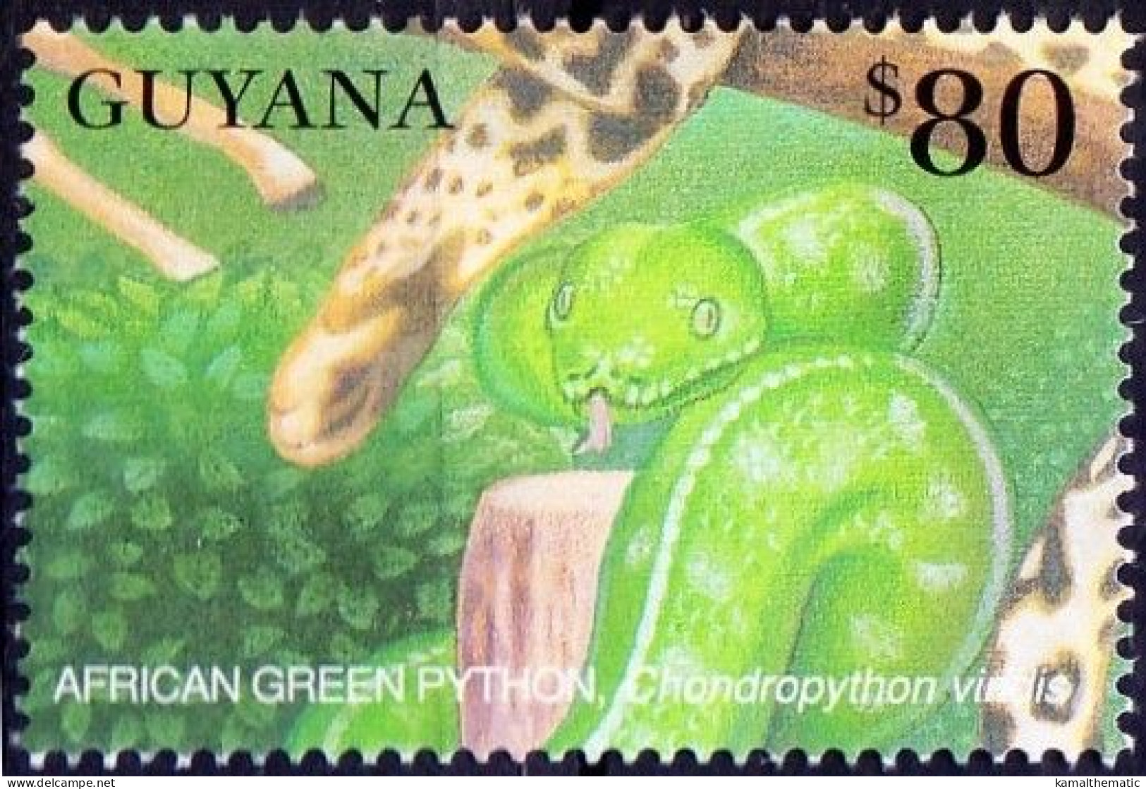 African Green Python, Reptiles, Snakes, Guyana 2001 MNH - Serpents