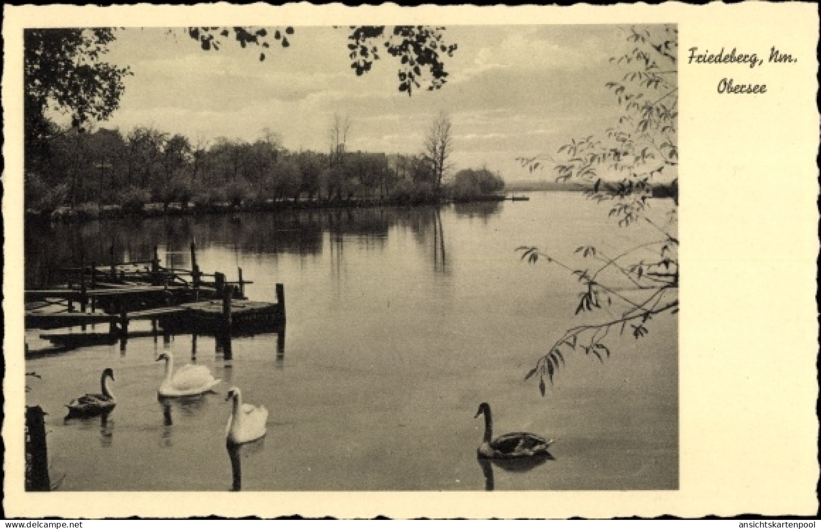 CPA Strzelce Krajenskie Friedeberg In Der Neumark Ostbrandenburg, Fischkästen Am Obersee, Schwäne - Neumark