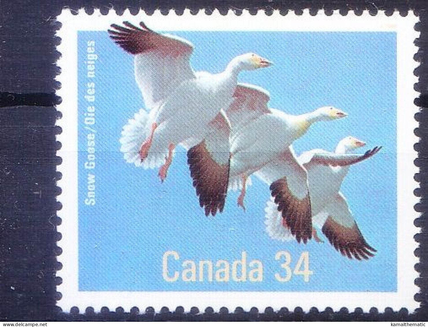 Snow Goose, Ducks, Water Birds, Canada 1986 MNH - Gänsevögel