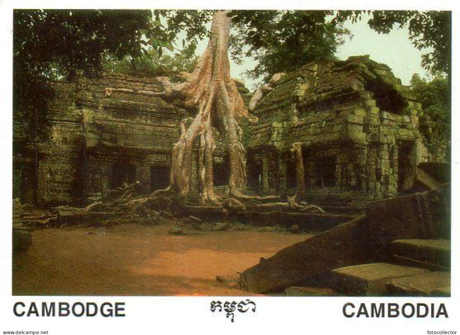 Cambodge : Siem Reap - Cambodge