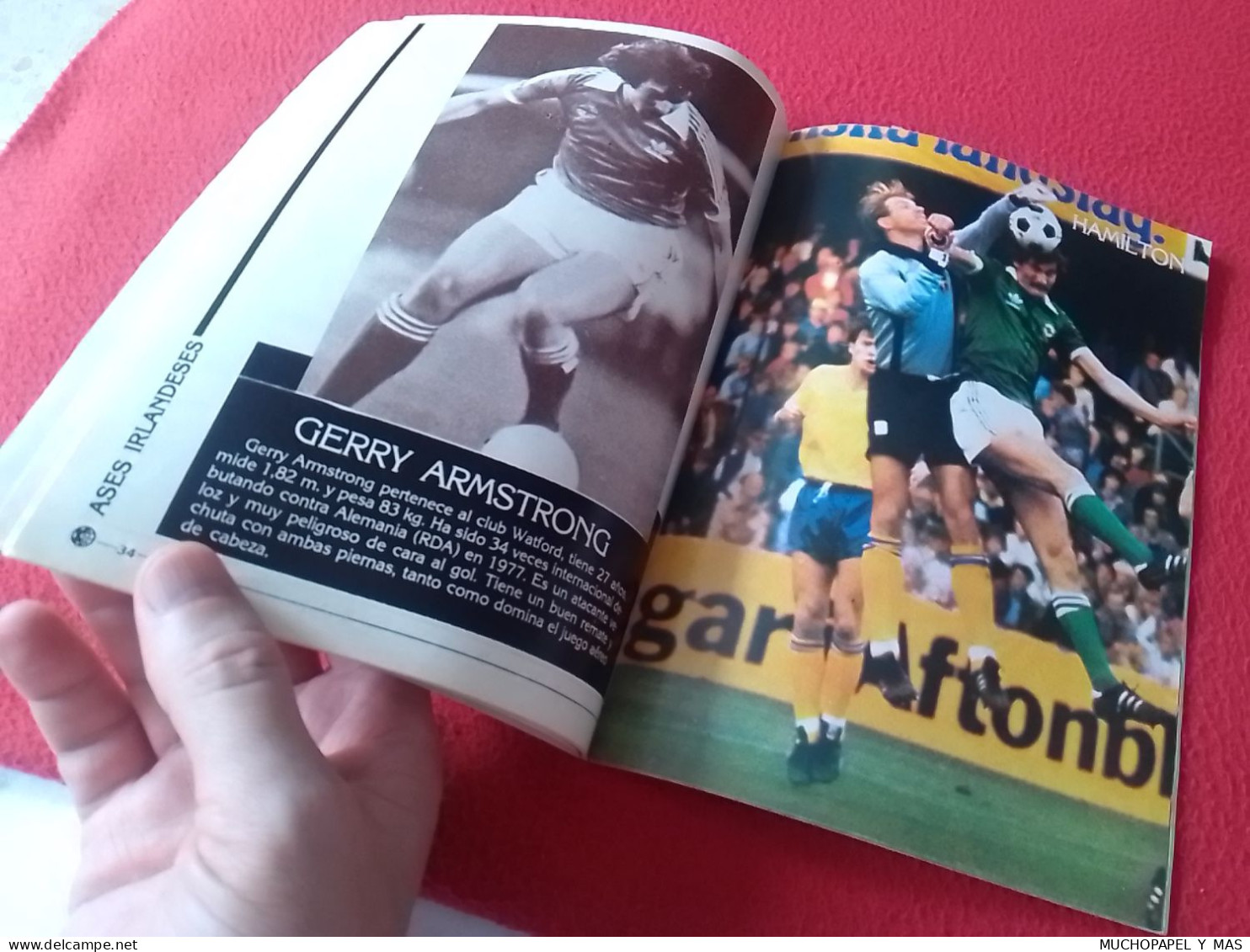 ANTIGUA REVISTA MAGAZINE FÚTBOL 24 SELECCIONES DE ORO ESPAÑA 82 Nº 16 IRLANDA DEL NORTE GEORGE BEST...NORTHERN IRELAND.. - [4] Tematica