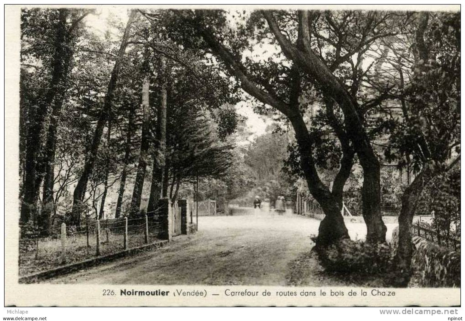 CARREFOUR DE ROUTE DANS LE BOIS DE LA CHAIZE    TB ETAT - Noirmoutier