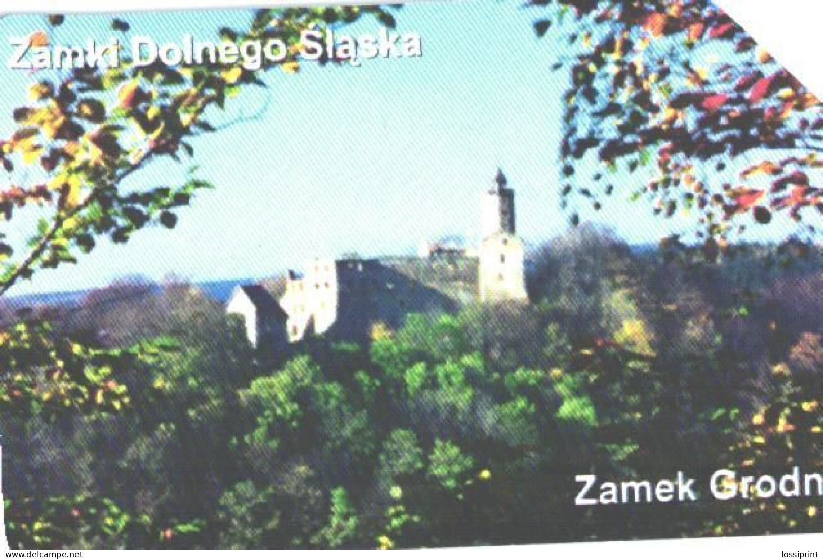 Poland:Used Phonecard, Telekomunikacja Polska S.A., 25 Units, Grodno Castle - Paysages