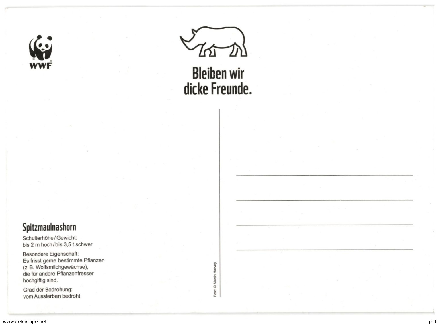 Black Rhinoceros, Unused WWF Large Postcard. Publisher World Wide Fund For Nature, Switzerland Photo: Martin Harvey - Neushoorn