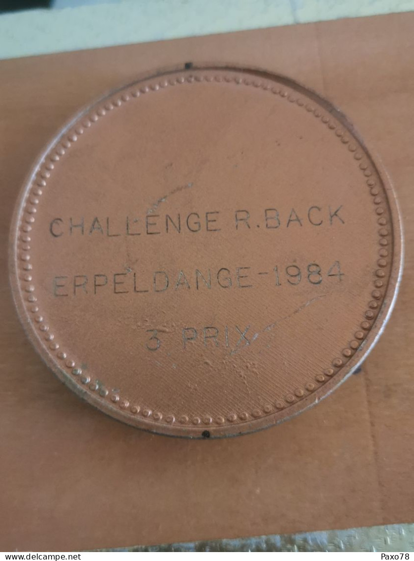 Luxembourg Médaille , Tennis De Table, Challenge R. Back, Erpeldange 1984 - Andere & Zonder Classificatie