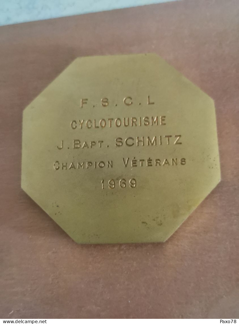 Luxembourg Médaille , Champion De Luxembourg Cyclotourisme 1969 - Andere & Zonder Classificatie