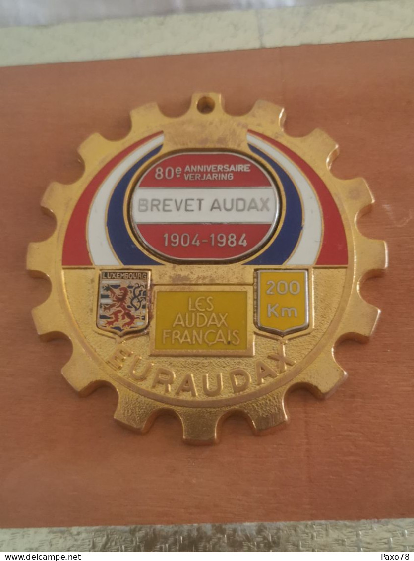 Luxembourg Médaille , Brevet Euraudax, 80e Anniversaire 1984 - Andere & Zonder Classificatie