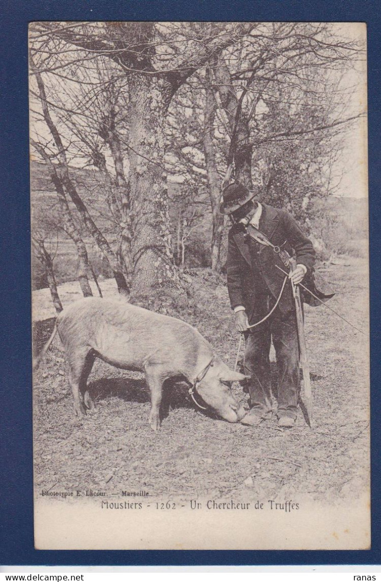 CPA [04] Alpes De Haute Provence > Moustiers Chercheur De Truffes Cochon Pig Non Circulé - Altri & Non Classificati