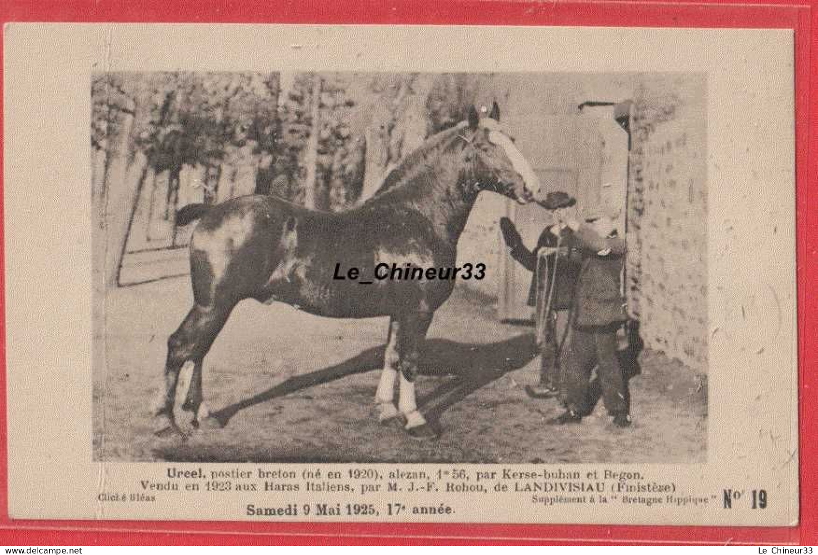 29 - LANDIVISIAU--URCEL Postier Breton ( Né En 1920 ) Alezan-Vendu En 1923 Aux Haras Italiens Par M J.F Rohou 9Mai 1925 - Landivisiau