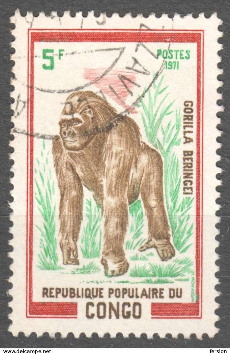 Eastern Gorilla - Gorilla Beringei - Congo Republic Brazzaville 1971 1972 - Used / MONKEY - Gorilles