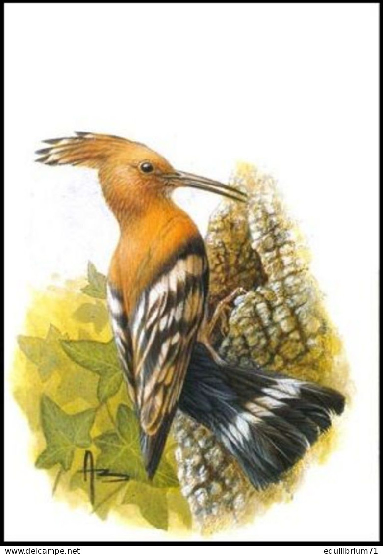 Carte Maximum / Maximum Kaart** - 3200 - BUZIN - Huppe Fasciée / Hop Vogel / Wiedehopf / Hoopoe / Upupa Epops - Specht- & Bartvögel