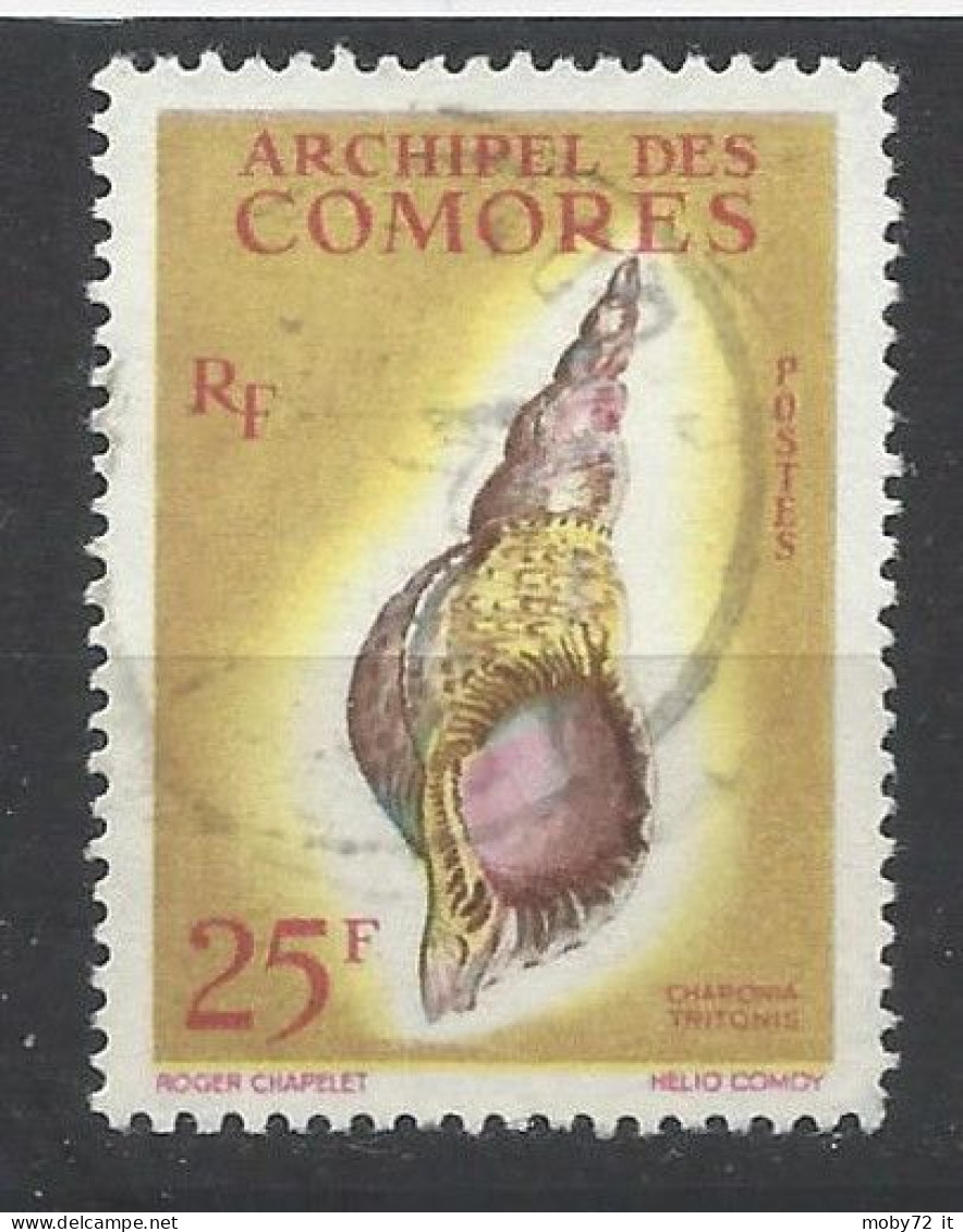 Comore - 1962 - Usato/used - Shell - Mi N. 47 - Used Stamps