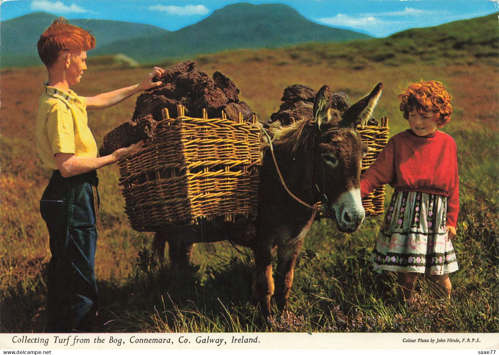 IRLANDE - Collecte De Gazon De La Tourbière - Âne Et Enfants - Galway