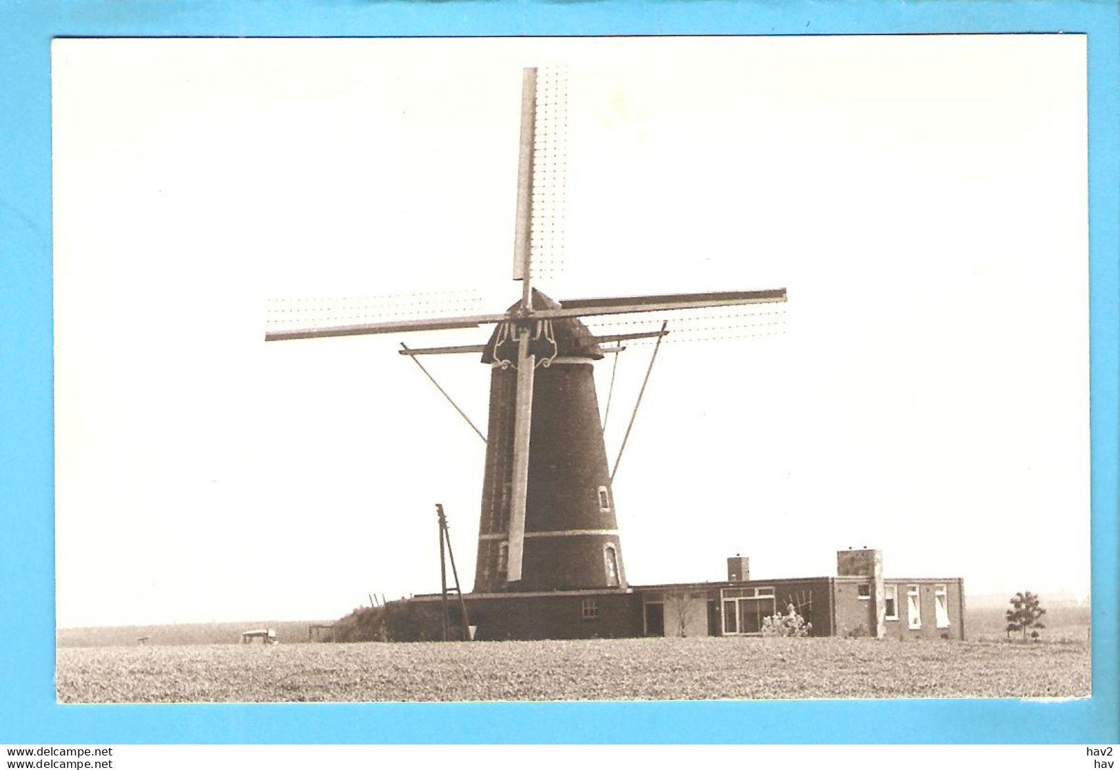 Venray Molen Foto/repro ML3184 - Venray